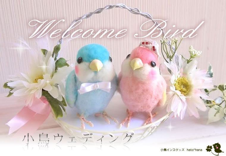 EFfBO hatohana@iDɑDȏAčs܂񂩁H